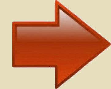 Dummy Testartikel 2 (Keine Ware)